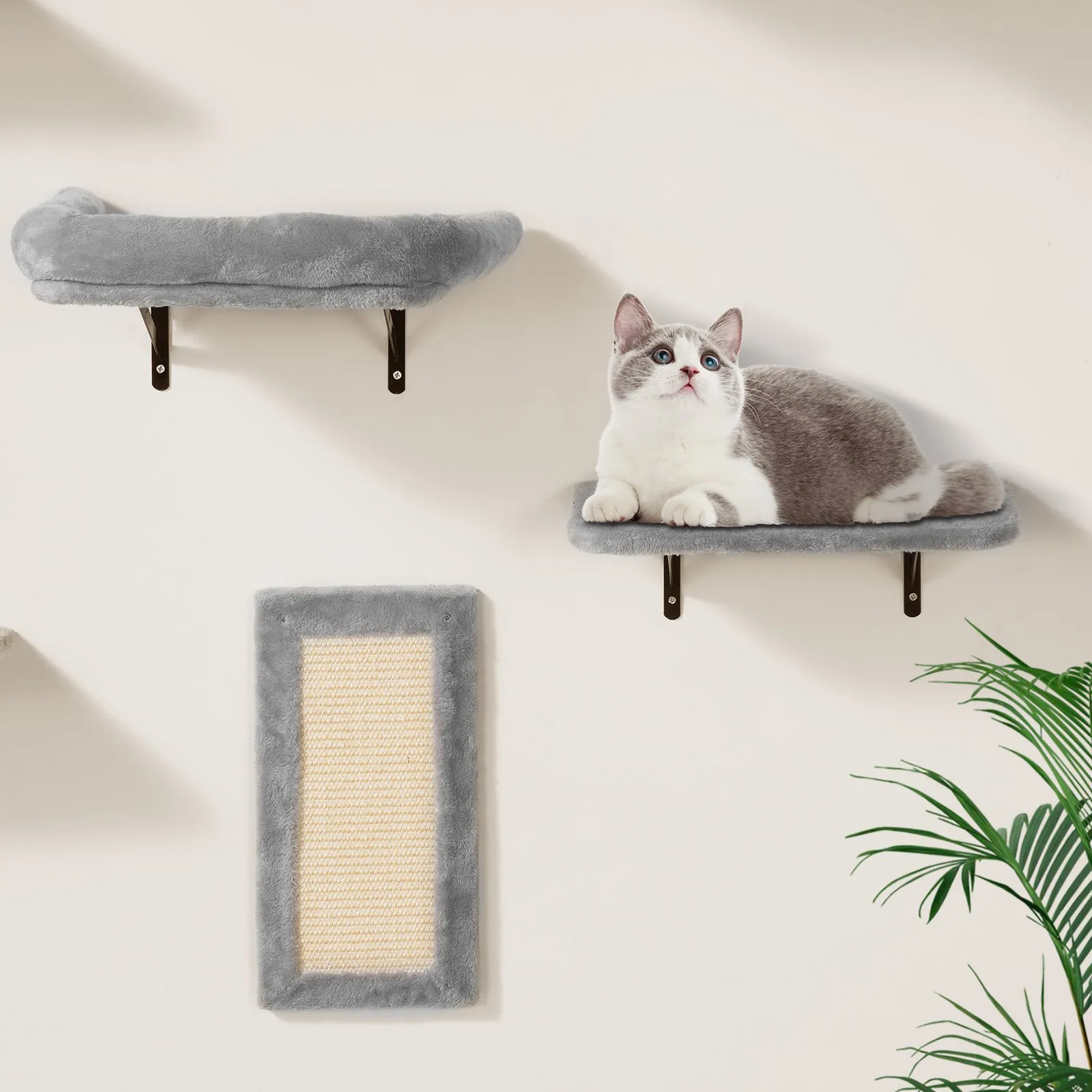Seinakomplekt kassile, 6 osa, puitlaastplaat