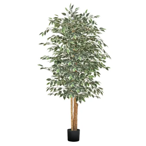 180 cm kunstfikussipuu musta potiga
