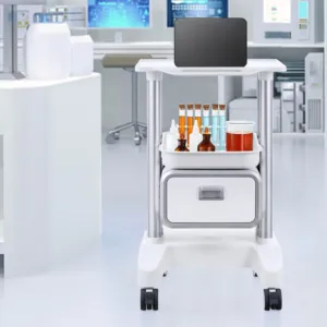 2-astmelised laborikärud, 2 tasandit, 49,9 kg — pilt 8