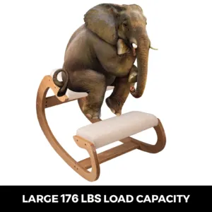 Ergonoomiline põlvitustool, 99,8 kg, 7 cm — pilt 2