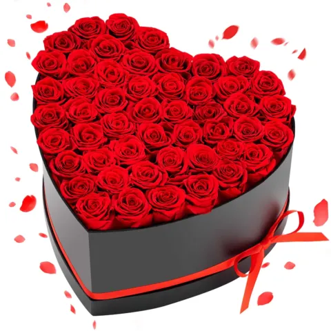 Forever Flowers, 0,80 kg, 35 mm
