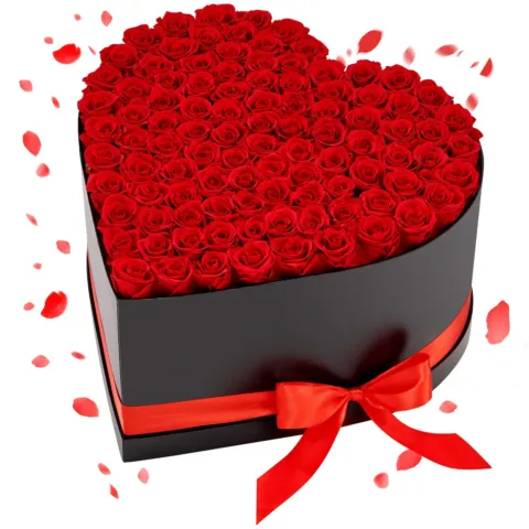 Forever Flowers, 1,45 kg, 35 mm