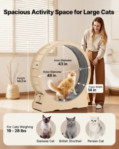 Kassi treeningratas, 120 cm, 12,7 kg — pilt 2