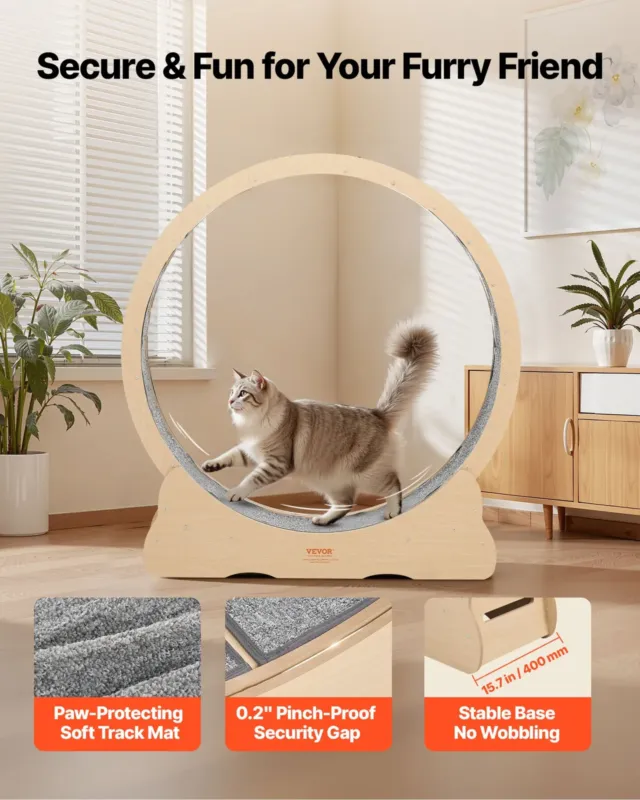 Kassi treeningratas, 120 cm, 12,7 kg