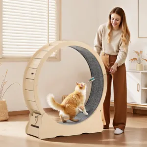 Kassi treeningratas, 120 cm, 12,7 kg — pilt 8