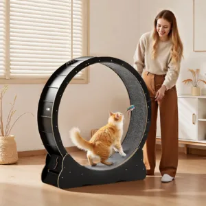Kassi treeningratas, 120 cm, 12,7 kg — pilt 8