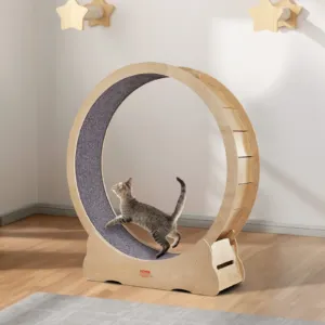 Kassi treeningratas, 132 cm, 12 mm — pilt 8