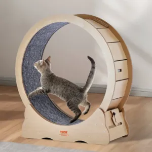 Kassi treeningratas, 90,9 cm, 12 mm — pilt 8