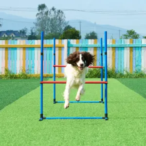 Koerte agility treeningvarustus, 7 tk, 71,0 cm — pilt 8
