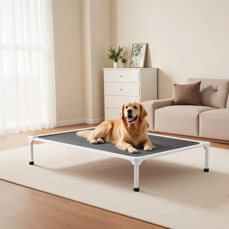 Kõrgendatud koeravoodi suurtele koertele, 40 kg, 1250 x 830 mm