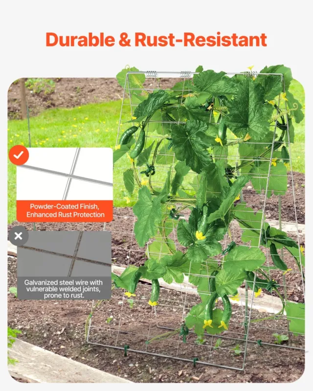 kurgivõre ronitaimedele