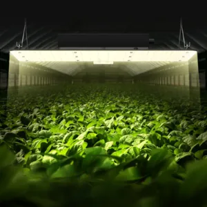 LED kasvulamp, 200 W, 91,4 x 91,4 cm — pilt 8