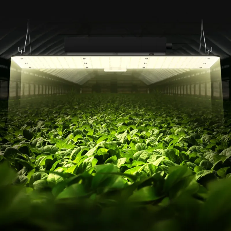 LED kasvulamp, 200 W, 91,4 x 91,4 cm