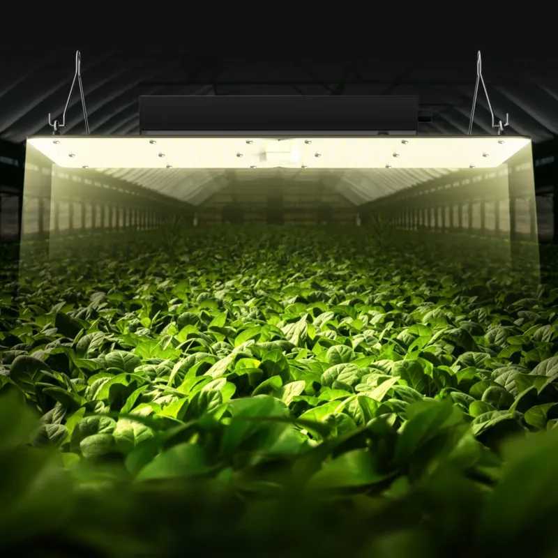 LED kasvulamp, 300 W, 121,9 x 121,9 cm