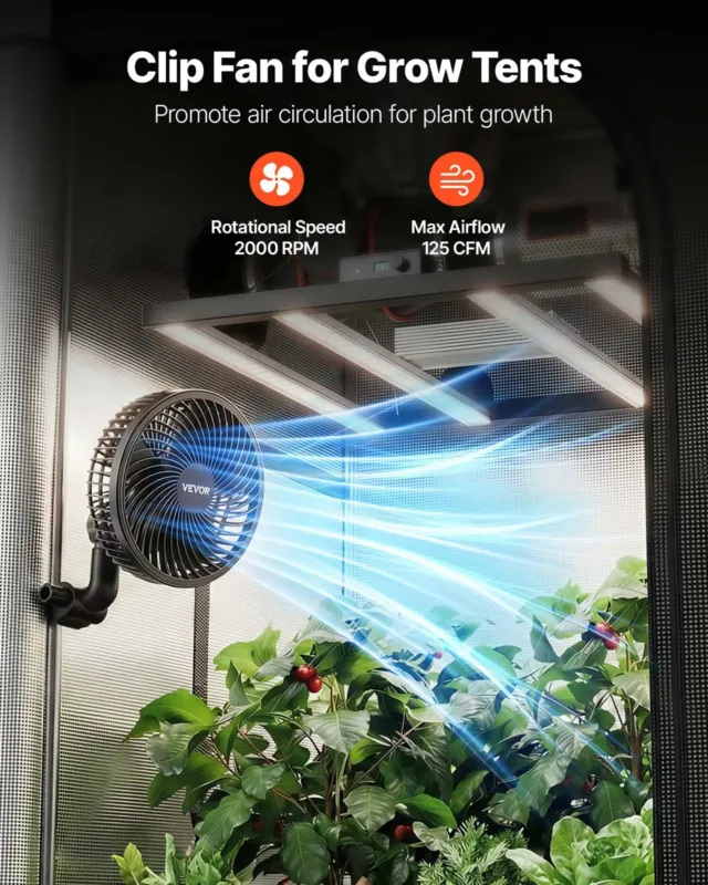 Taimeventilaator