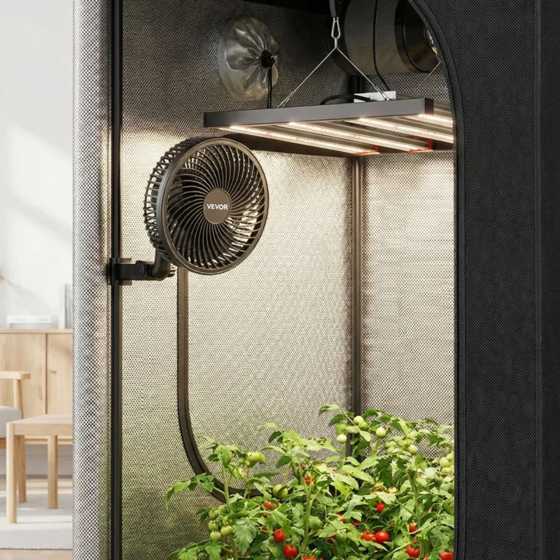 Taimeventilaator