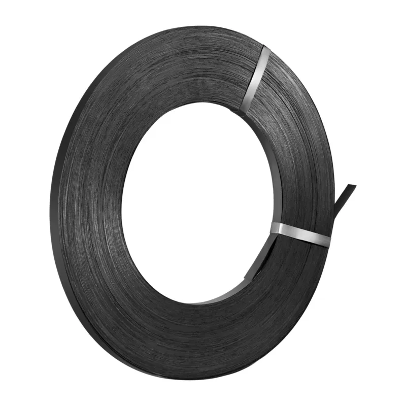 Terasest sidumisrihmarull, 19 mm, 500 m