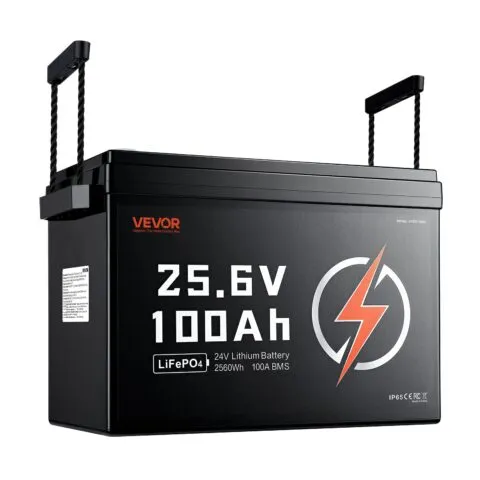 24V 100Ah LiFePO4 liitiumaku 4000+ tsüklit Sisseehitatud 100A BMS