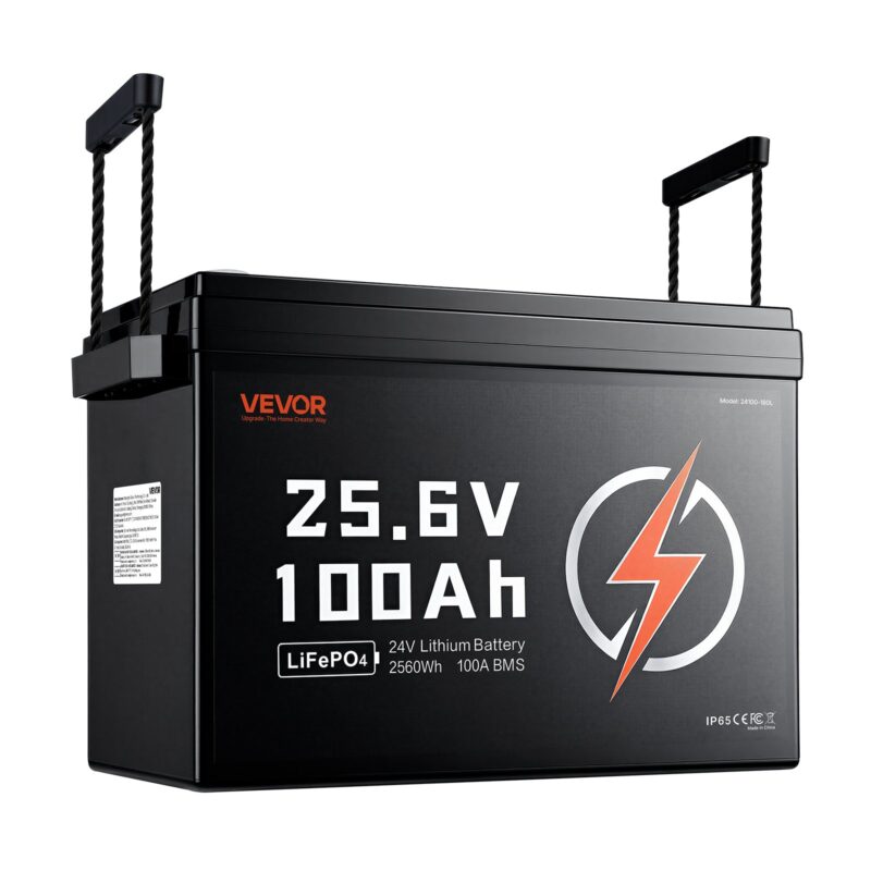 24V 100Ah LiFePO4 Lithium Battery 4000+ Cycles Built-in 100A BMS, 180 L