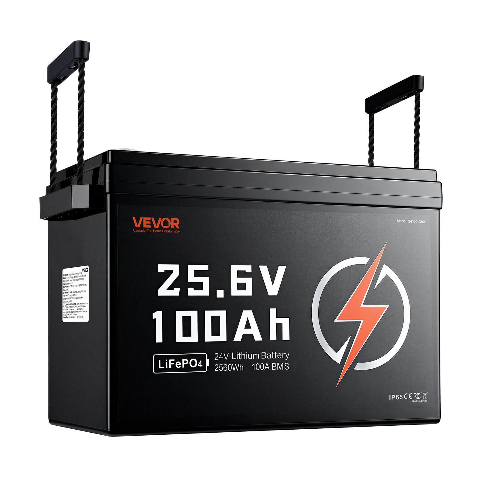 24V 100Ah LiFePO4 ličio akumuliatorius 4000+ ciklų Įmontuotas 100A BMS