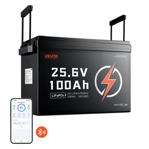 24V 100Ah LiFePO4 Lithium Battery 4000+ Cycles 100A BMS with Bluetooth, 180 L