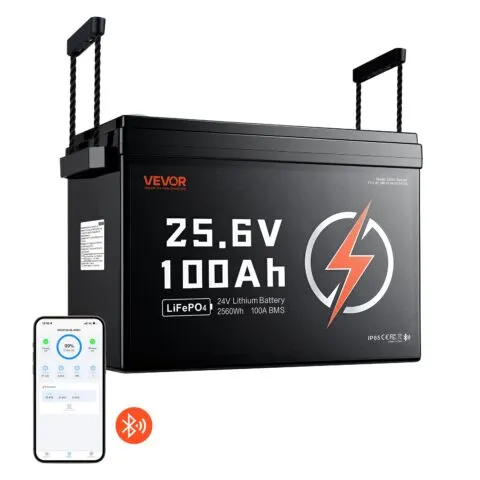 24V 100Ah LiFePO4 liitiumaku 4000+ tsüklid 100A BMS Bluetoothiga