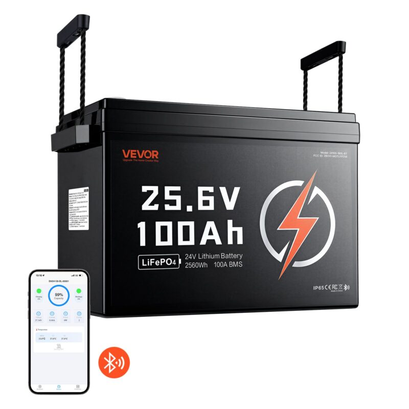 24V 100Ah LiFePO4 Lithium Battery 4000+ Cycles 100A BMS with Bluetooth, 180 L