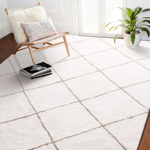 Indoor Plush Area Rugs, 2,44 x 3,05 m, 2000 g