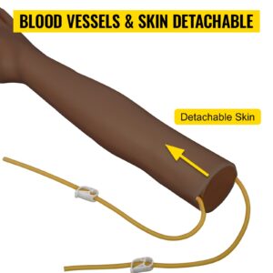 Intravenoosse harjutuskäe komplekt tumeda nahaga flebotoomia käega — pilt 4