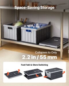 Plastist kokkupandavad hoiukastid kaantega, 38 kg, 65 L — pilt 4
