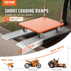 Kaasaskantavad laadimisrambid, 399 kg, 1200 x 215 mm, 399,2 kg, 2 tk — pilt 2