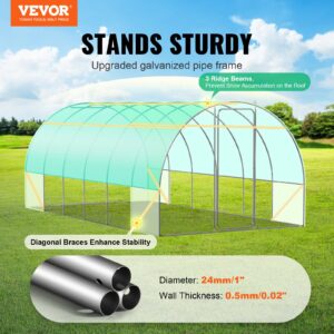 Tunnelkasvuhoone, 5,91 x 2,96 x 2,26 m — pilt 2