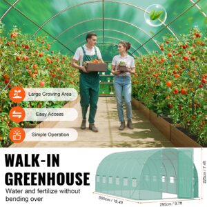 Tunnelkasvuhoone, 5,91 x 2,96 x 2,26 m — pilt 6