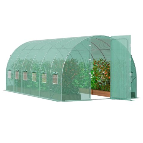 Walk-in Tunnel Greenhouse, 5,91 x 2,96 x 2,26 m, 2,54 cm