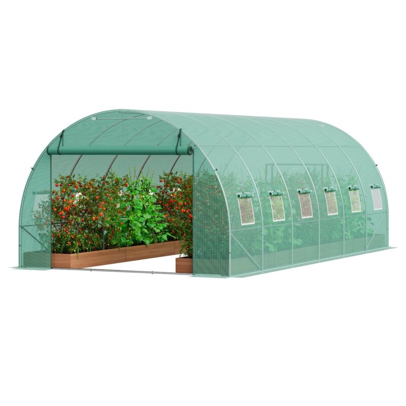 Walk-in Tunnel Greenhouse, 5,91 x 2,96 x 1,98 m, 2,54 cm