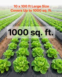 0,1 mm plastkile 3,05 x 30,48 m must vastupidav polüetüleen — pilt 3