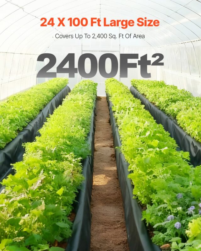 24' x 100' vastupidav plastleht, 6 mm