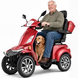 VEVOR Vastupidav neljarattaline liikuvussouter seenioridele ja täiskasvanutele, 227 kg, 1000 W, 1760×700×1470 mm — pilt 1