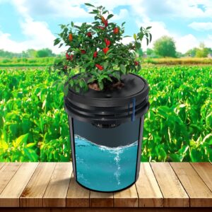 VEVOR DWC hüdropoonika kasvusüsteem, 18,9 L, 4 L — pilt 8