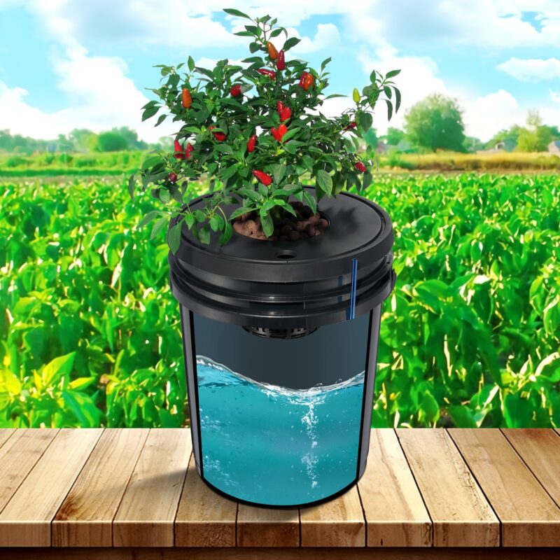 VEVOR DWC hüdropoonika kasvusüsteem, 18,9 L, 4 L