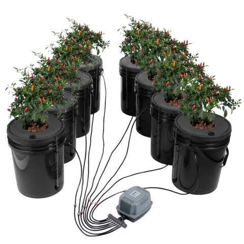 VEVOR DWC hüdropoonika kasvusüsteem, 18,9 L, 4 L