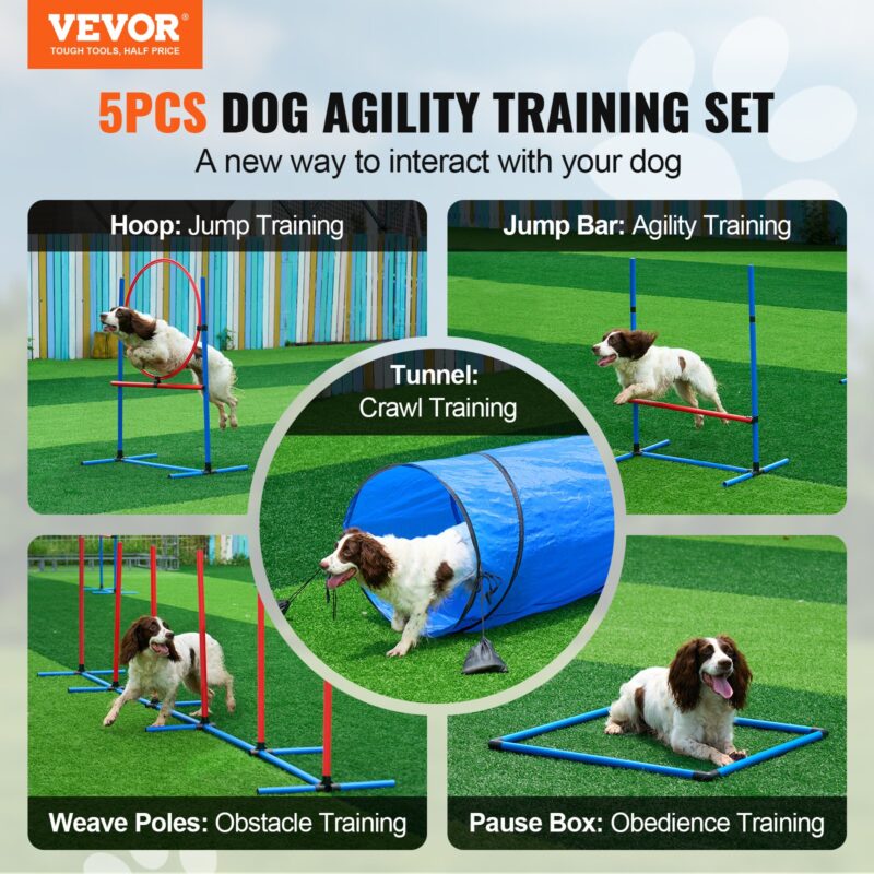 Koerte agility treeningvarustus, 5 tk