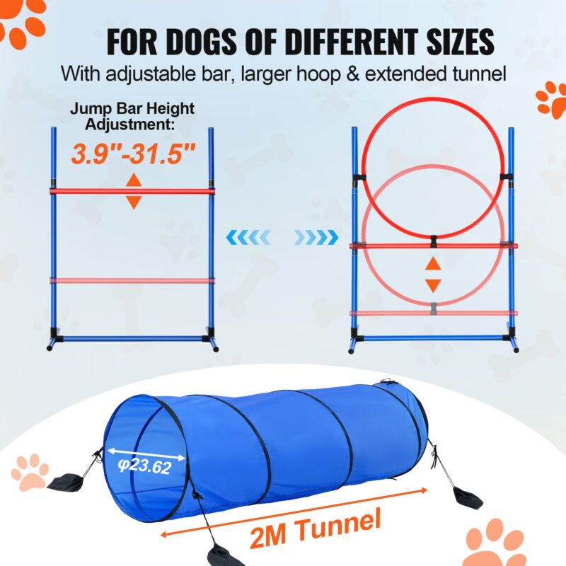 Koerte agility treeningvarustus, 5 tk
