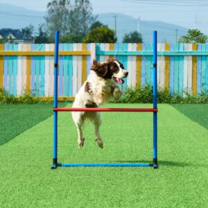 Koerte agility treeningvarustus, 5 tk — pilt 8