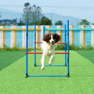 VEVOR Koerte agility treeningvarustus, 7 tk, 300 cm — pilt 8