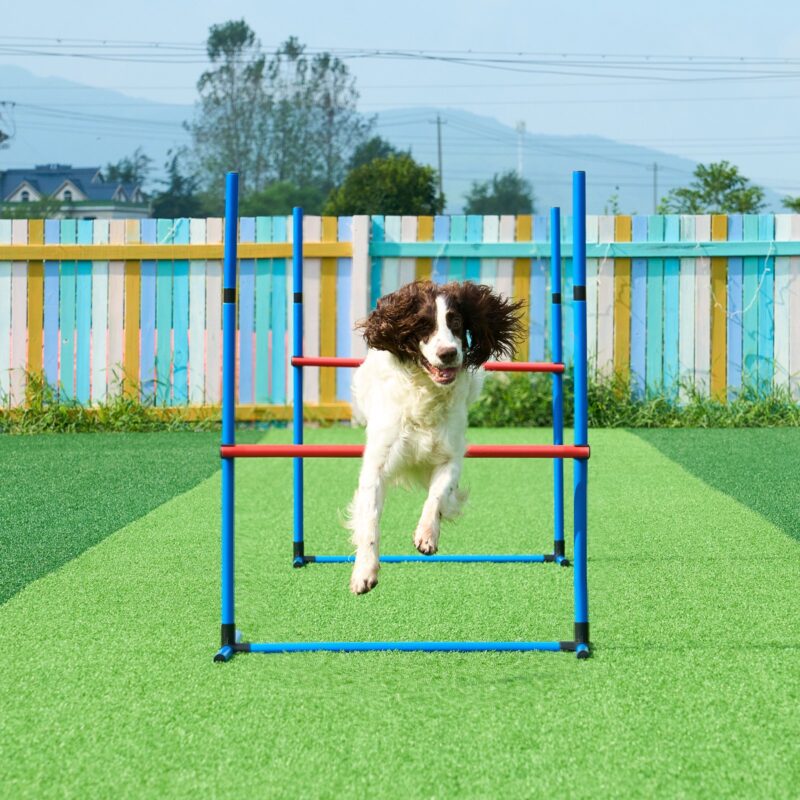 VEVOR Koerte agility treeningvarustus, 7 tk, 300 cm
