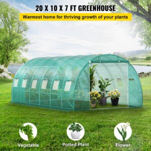 VEVOR Tunnelkasvuhoone, 609,6 x 304,8 x 213,4 cm, roheline — pilt 2