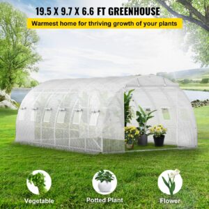 VEVOR Tunnelkasvuhoone, 609,6 x 304,8 x 213,4 cm, valge — pilt 2