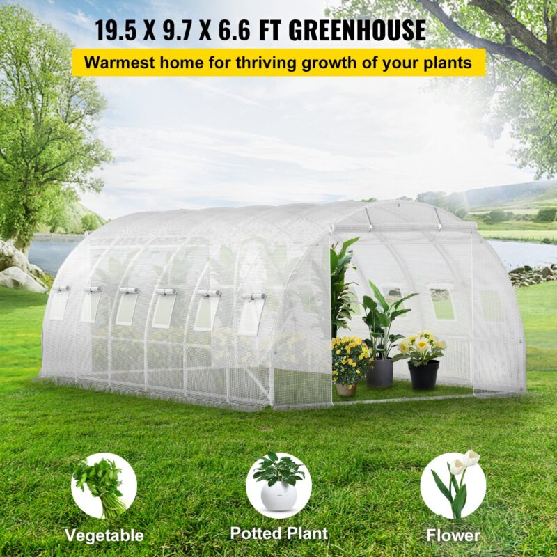 VEVOR Tunnelkasvuhoone, 609,6 x 304,8 x 213,4 cm, valge
