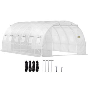 VEVOR Tunnelkasvuhoone, 609,6 x 304,8 x 213,4 cm, valge — pilt 1